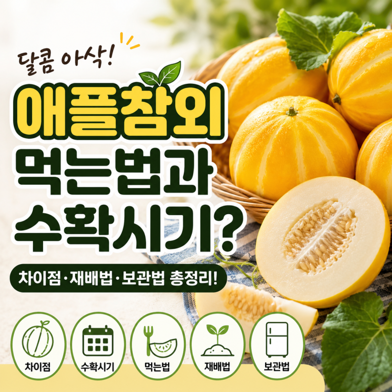 애플참외 먹는법과 수확시기? 차이점·보관법·재관리법 총정리