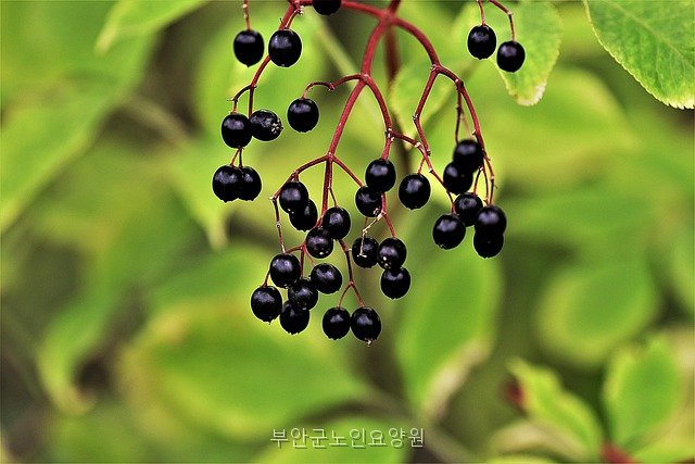 부안군노인요양원 사진 2