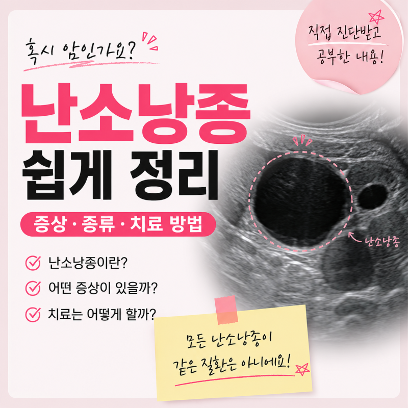 난소낭종이란? I 진단 받고 공부한 증상, 종류 치료 방법