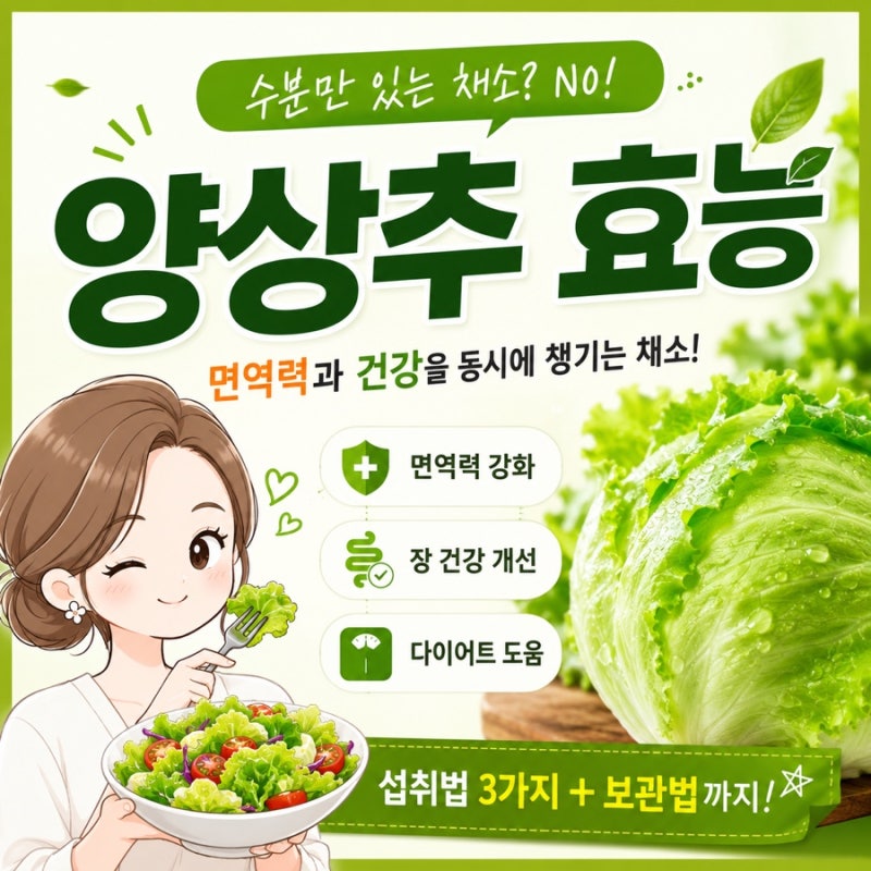 양상추 효능, 면역력을 깨우는 3가지 섭취법과 보관법