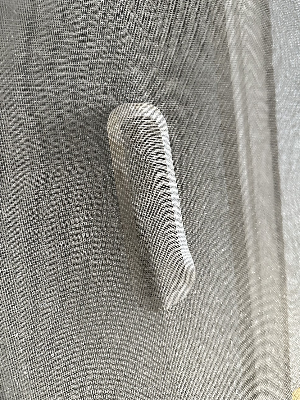이화 사진 3