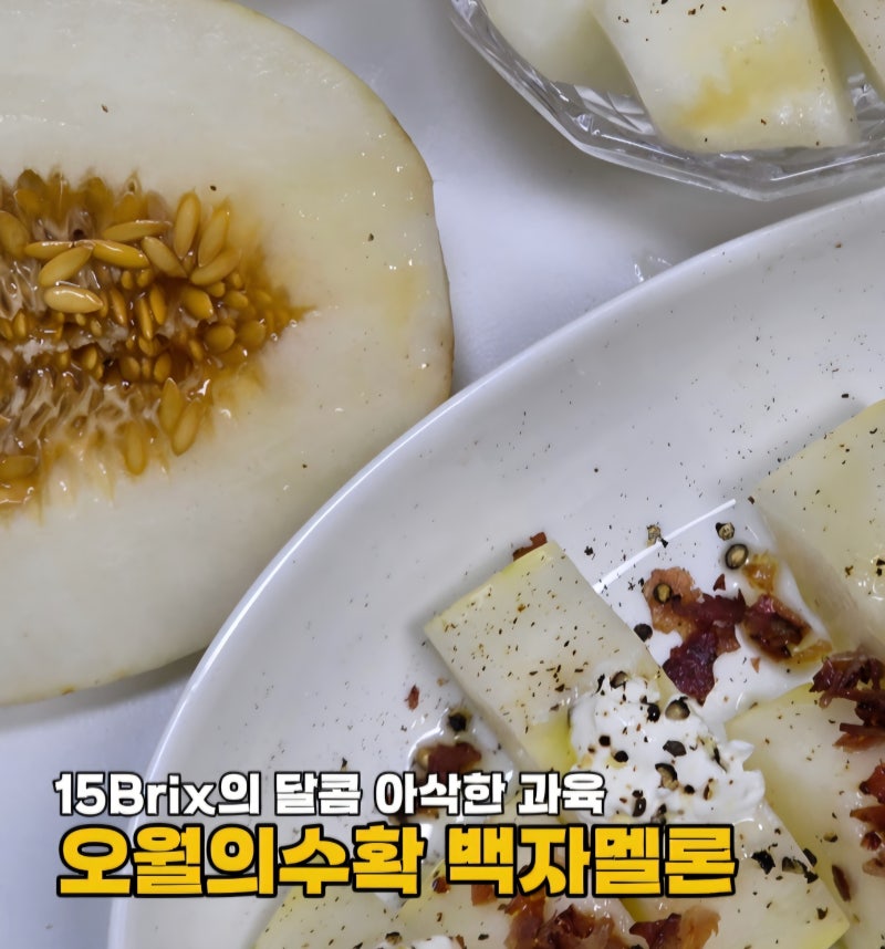 여름 제철과일 추천! 오월의수확 양구 산지직송 고당도 백자멜론 과일선물 택배배송