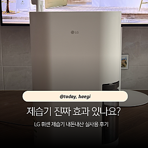 제습기 진짜 효과 있을까? LG 휘센 오브제컬렉션 13L 실사용 후기
