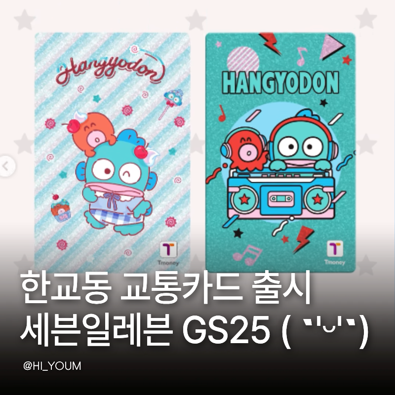 한교동 교통카드 드디어 출시! 세븐일레븐 GS25 티머니 한교동 교통카드 가격부터 L자 홀더