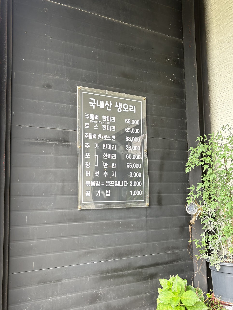 옛날오리 사진 4
