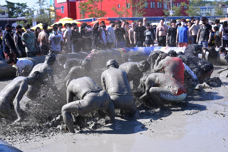대천가볼만한곳 2026 보령머드축제 입장료 폐막식 공연별 초대가수 라인업 윤도현밴드 이찬....