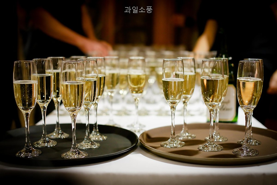 과일소풍 사진 5