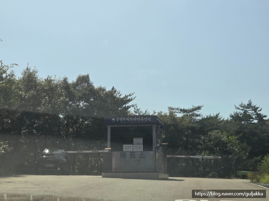 국립무의도자연휴양림 연립동 107호 사진 4