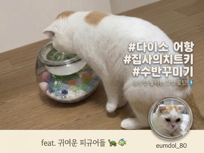 SNS 핫한 다이소 어항으로 DIY 고양이 수반 만들기 고양이 반응은?!