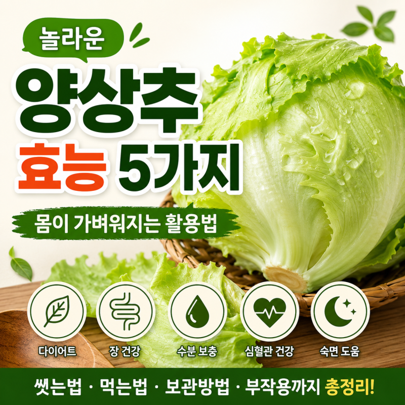 놀라운 양상추 효능 5가지 몸이 가벼워지는 활용법, 씻는법 먹는법 보관방법 총정리