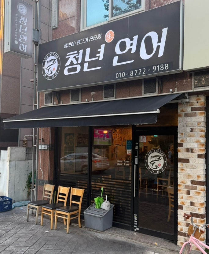 청년연어 사진 1