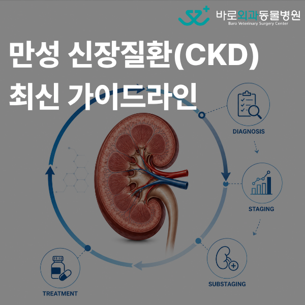 강아지 고양이 만성신부전(CKD) IRIS 2026 최신 가이드라인