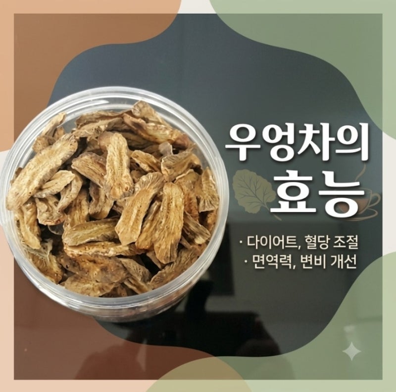 우엉차의 효능과 부작용까지 정리해 드립니다