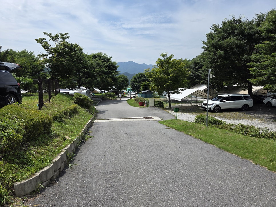 대회산캠핑장