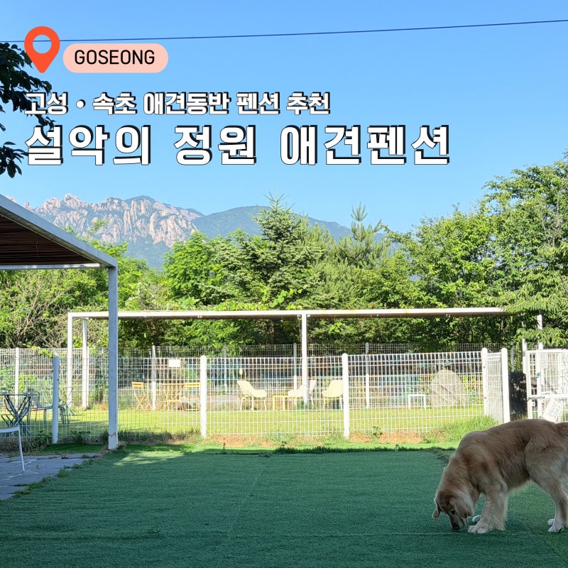 속초 애견펜션 추천, 대형견도 가능한 고성 설악의 정원 재방문 후기