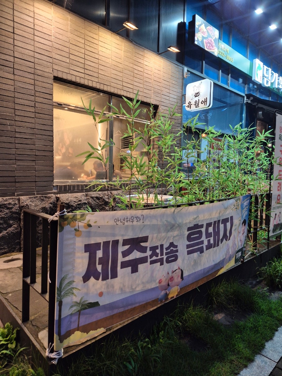 육월애 사진 2