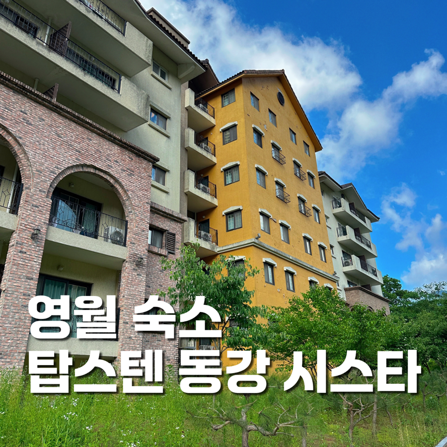 탑스텐리조트 동강시스타 동굴스파 사진 1