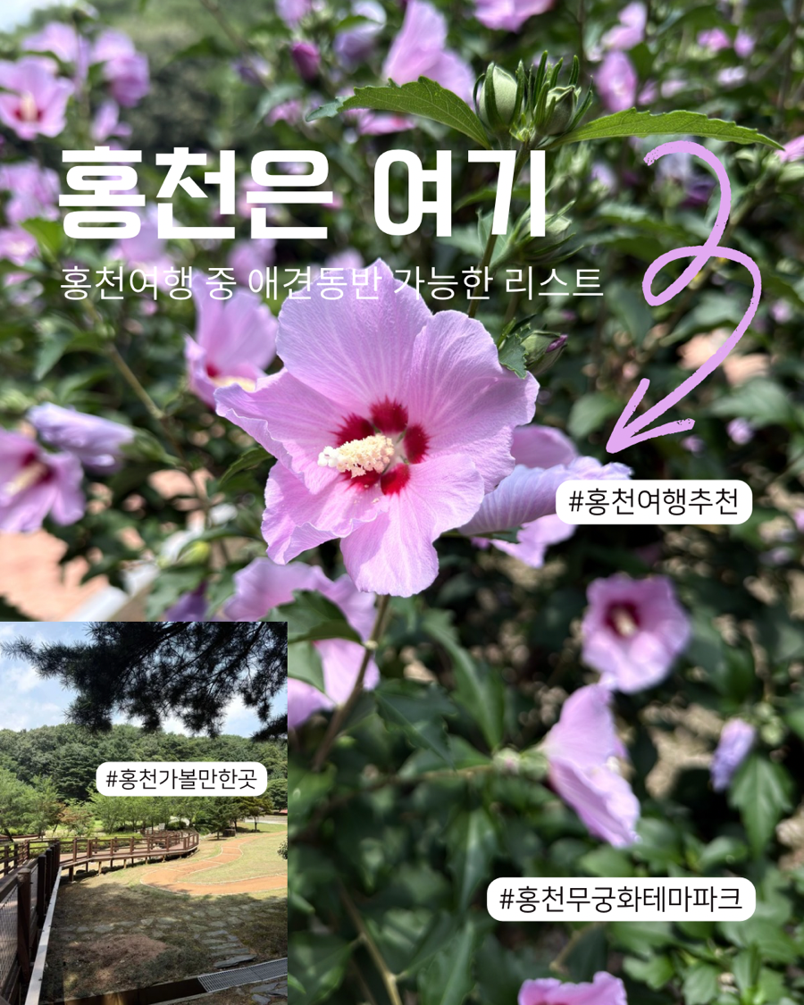 홍천무궁화테마파크 사진 1