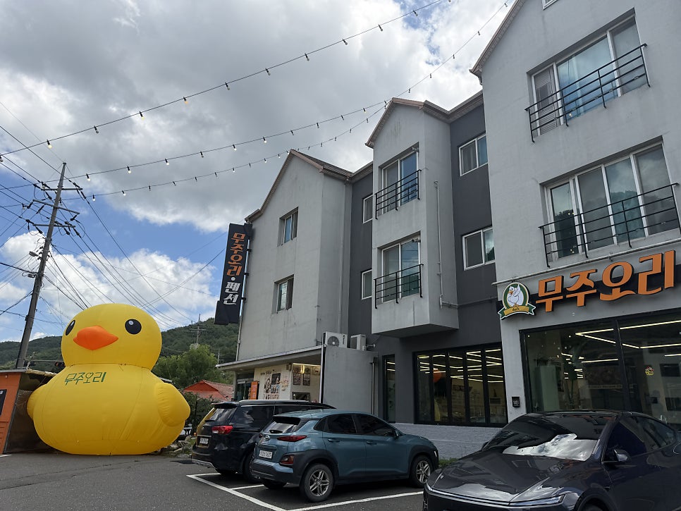 무주오리 사진 2