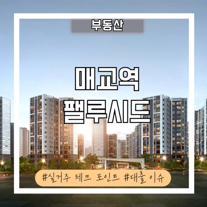 매교역 팰루시드 대출 비상? 직접 다녀온 임장 후기와 실거주 체크포인트