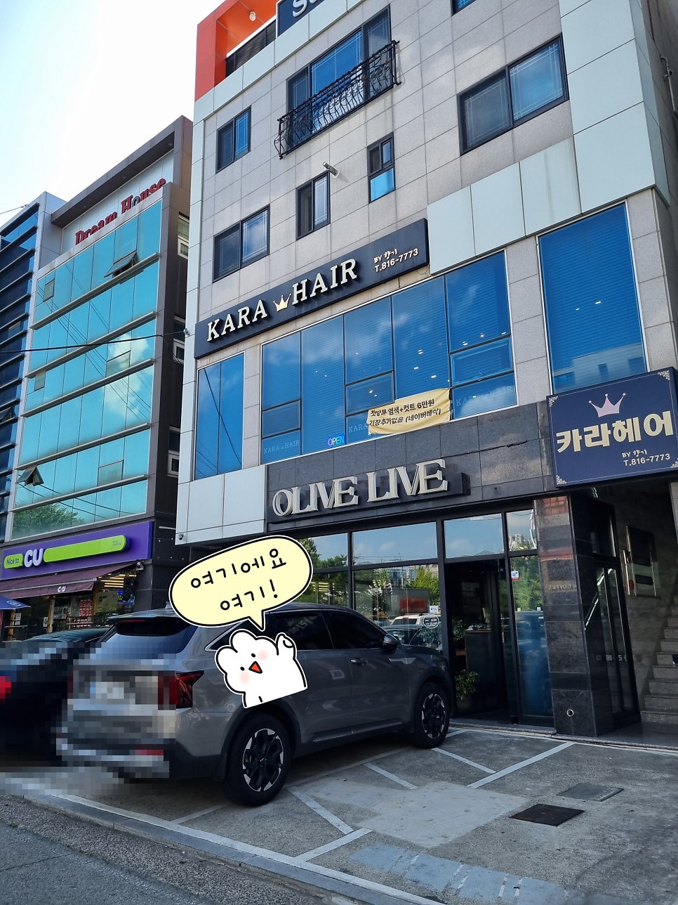 올리브라이브 사진 1