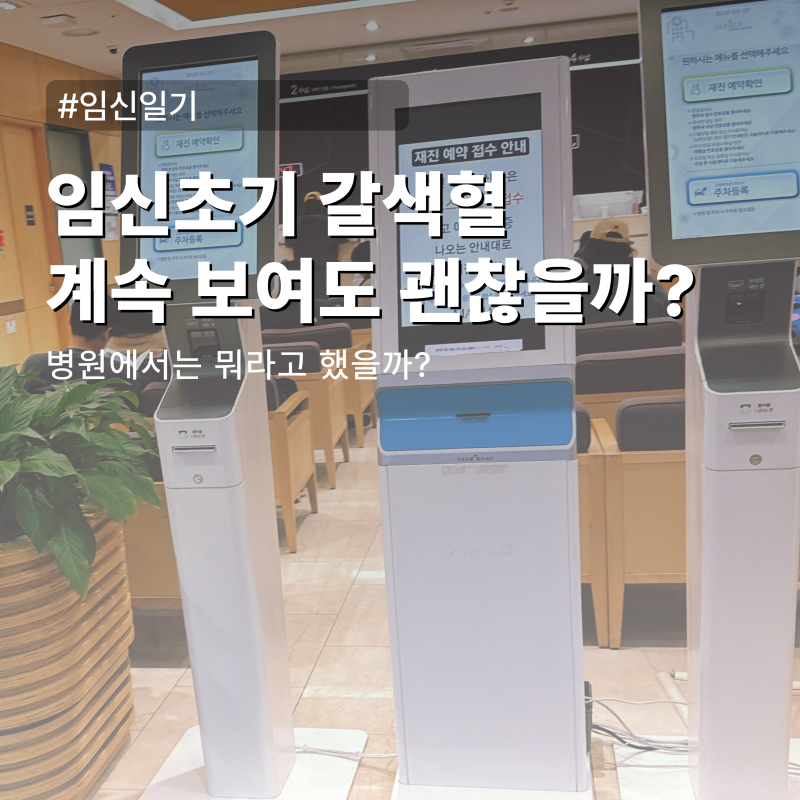 임신초기 갈색혈 착상혈일까 유산 신호일까? (실제 초음파 결과)