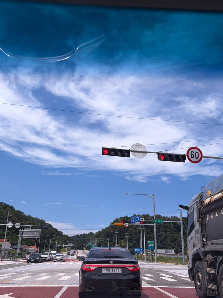 얼 삼척 사진 3
