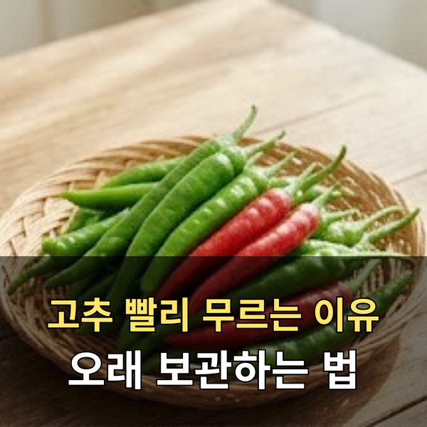 고추 보관법, 많이 사도 물러지지 않는 냉장·냉동 보관 방법