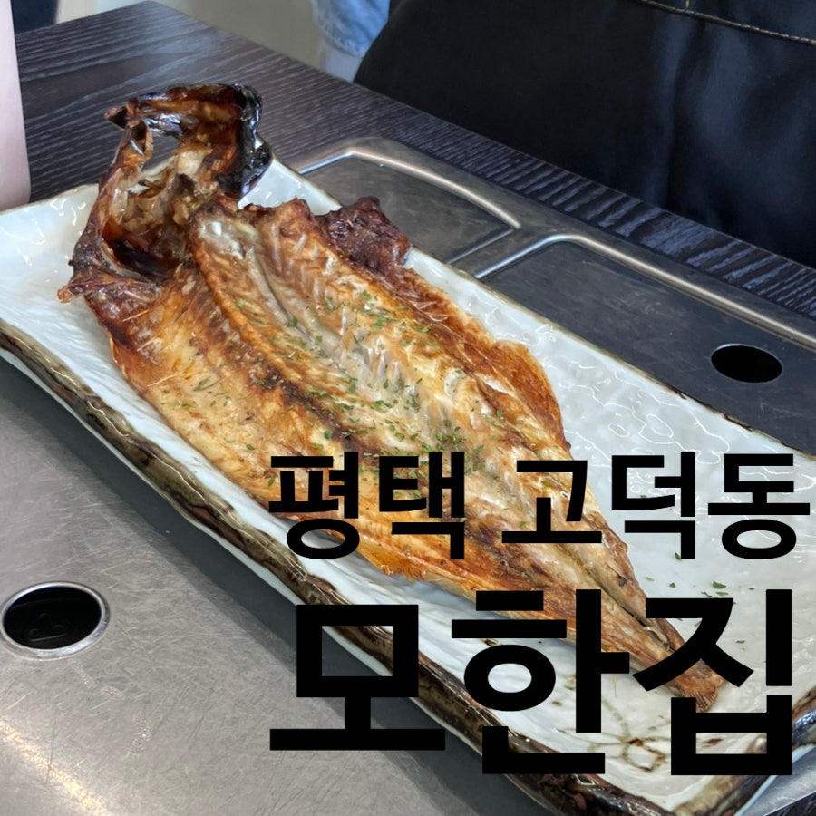모한집 사진 1