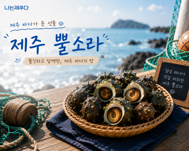 제주 뿔소라 맛있게 먹는 법! 김녕 해녀가 전하는 제주 수산물 여름 제철요리