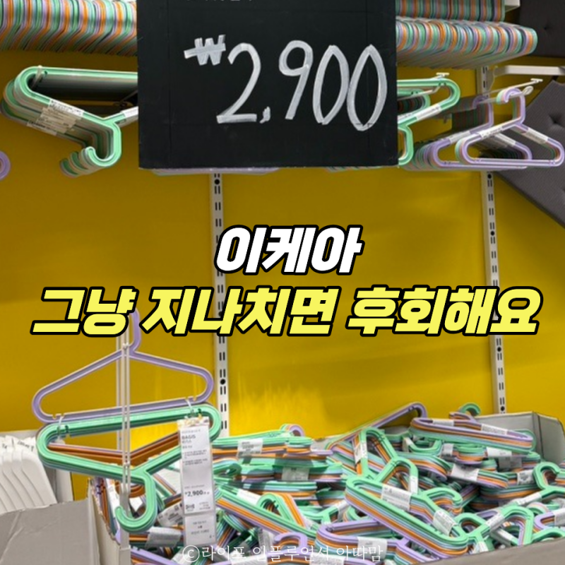 이케아 이런 것도 파네요? 다들 2개씩 담아가는 추천템 3가지