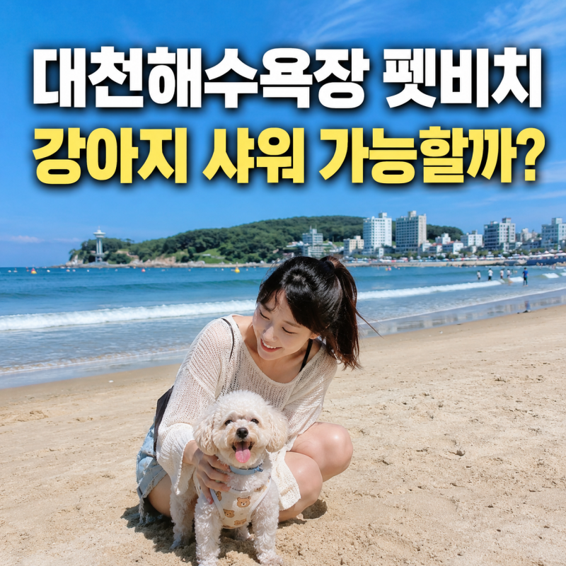 대천해수욕장 펫비치 강아지 샤워 가능할까? 2026 운영기간과 위치 총정리