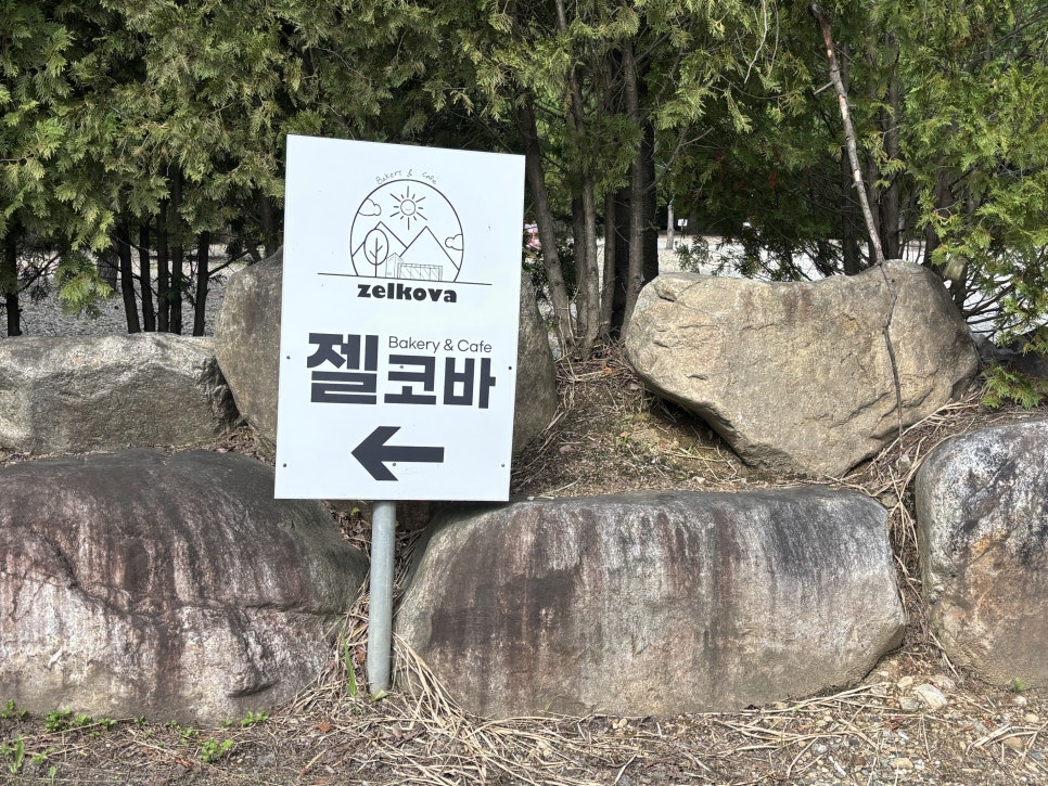 젤코바 사진 3