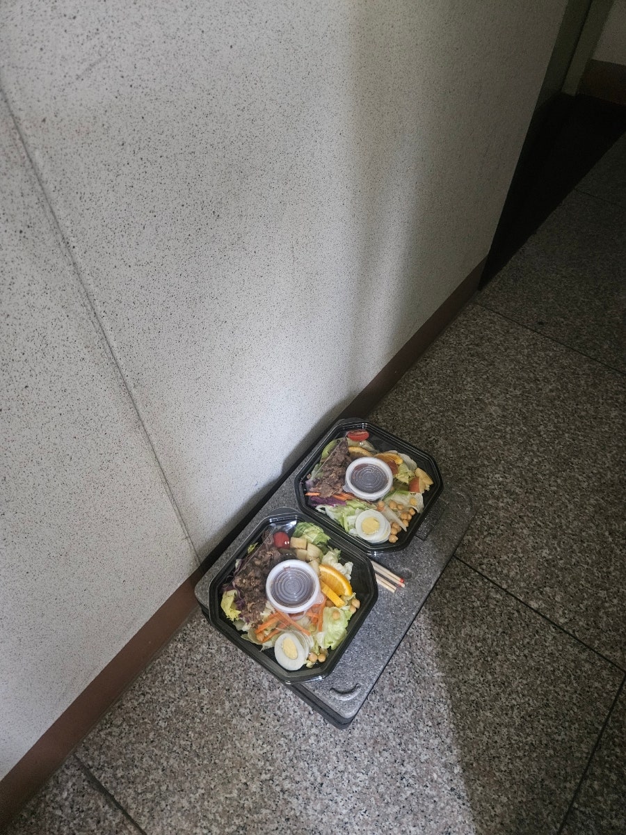 생명나무 사진 1