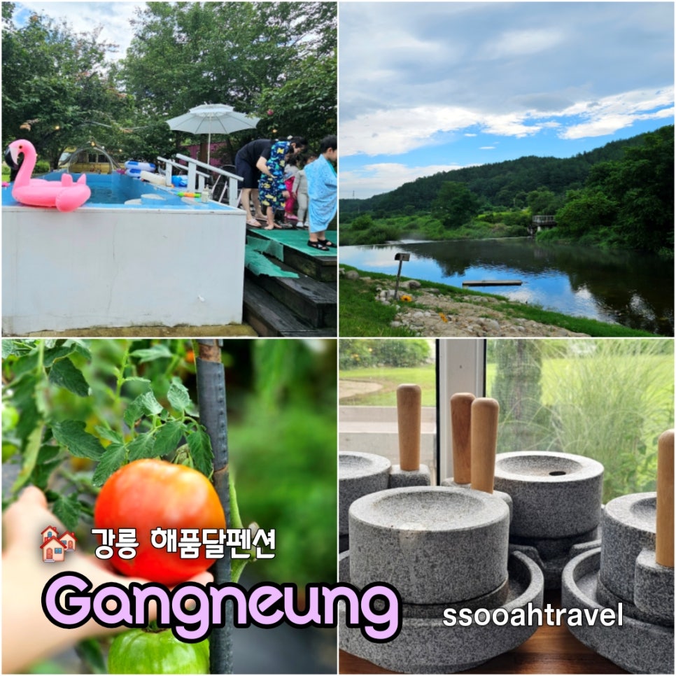 해품달펜션 사진 1