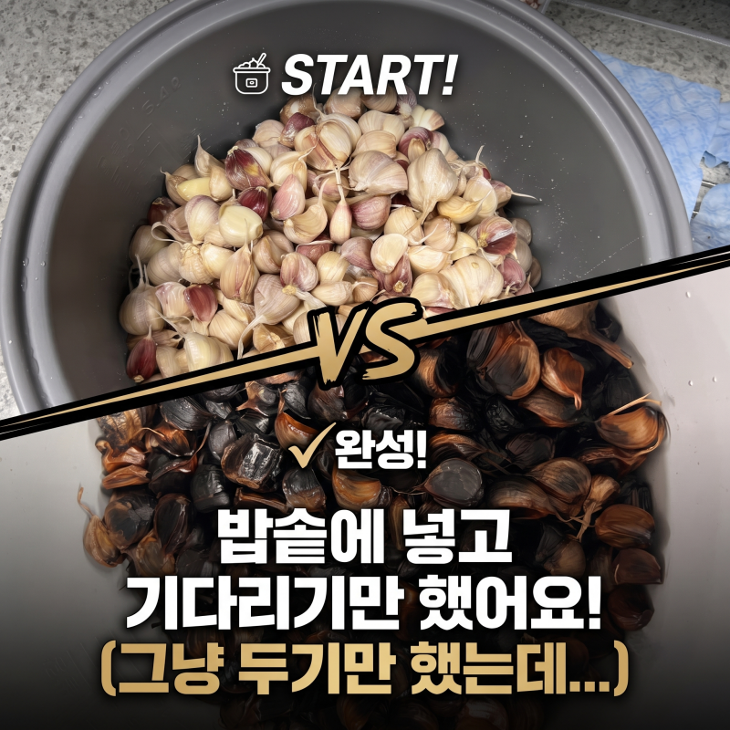 [수제 흑마늘 만들기] 부모님을 위한 정성! 전기밥솥으로 만드는 메이드 흑마늘 성공 후기 & ....