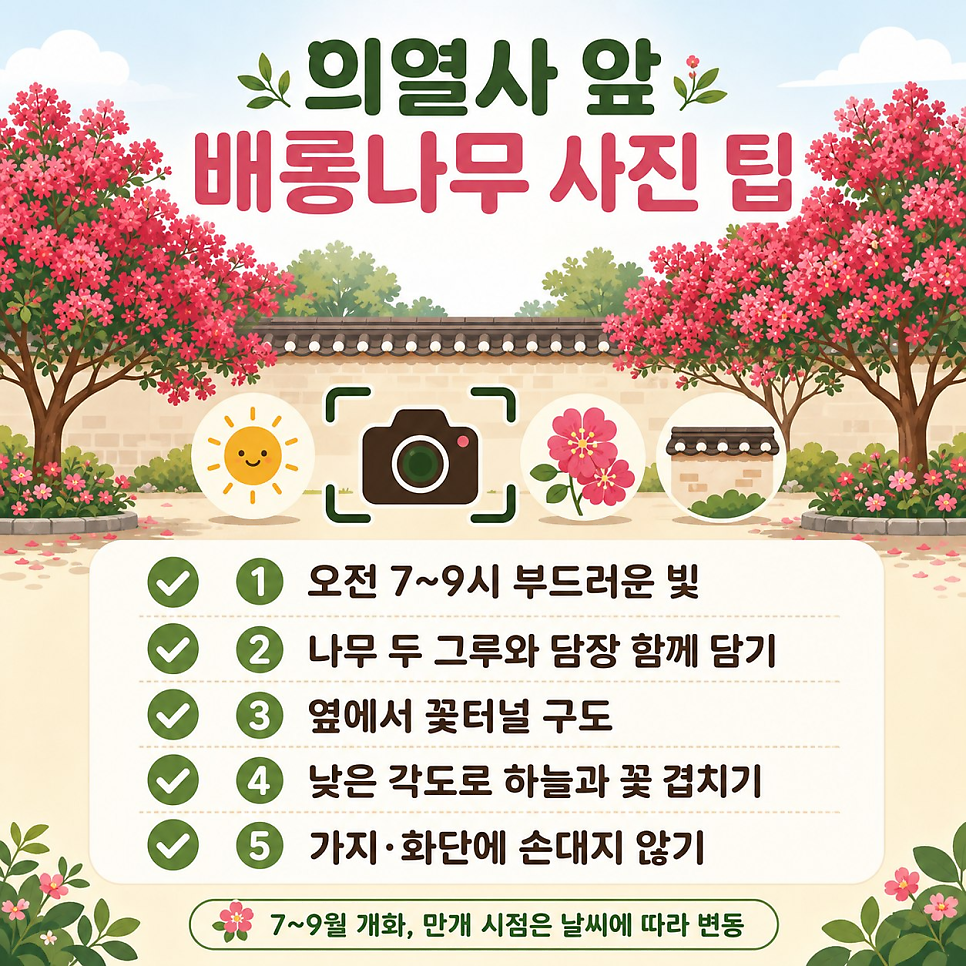 파자마델리 사진 5