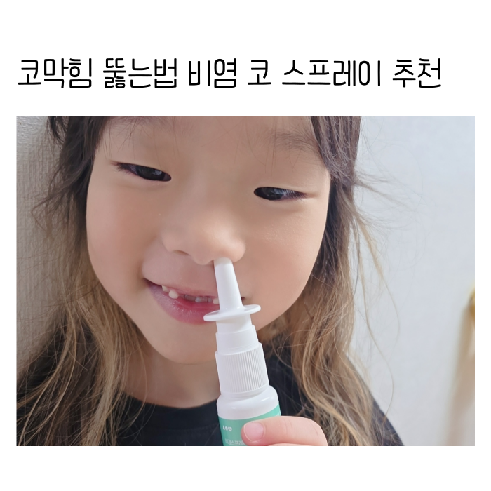 코막힘 뚫는법 고민이라면 비염 코 스프레이 코에픽 노즈베리어 리얼후기