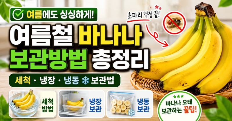 여름철 바나나 보관방법 총정리｜초파리 없애고 바나나 오래 보관하는 세척·냉장·냉동 보....