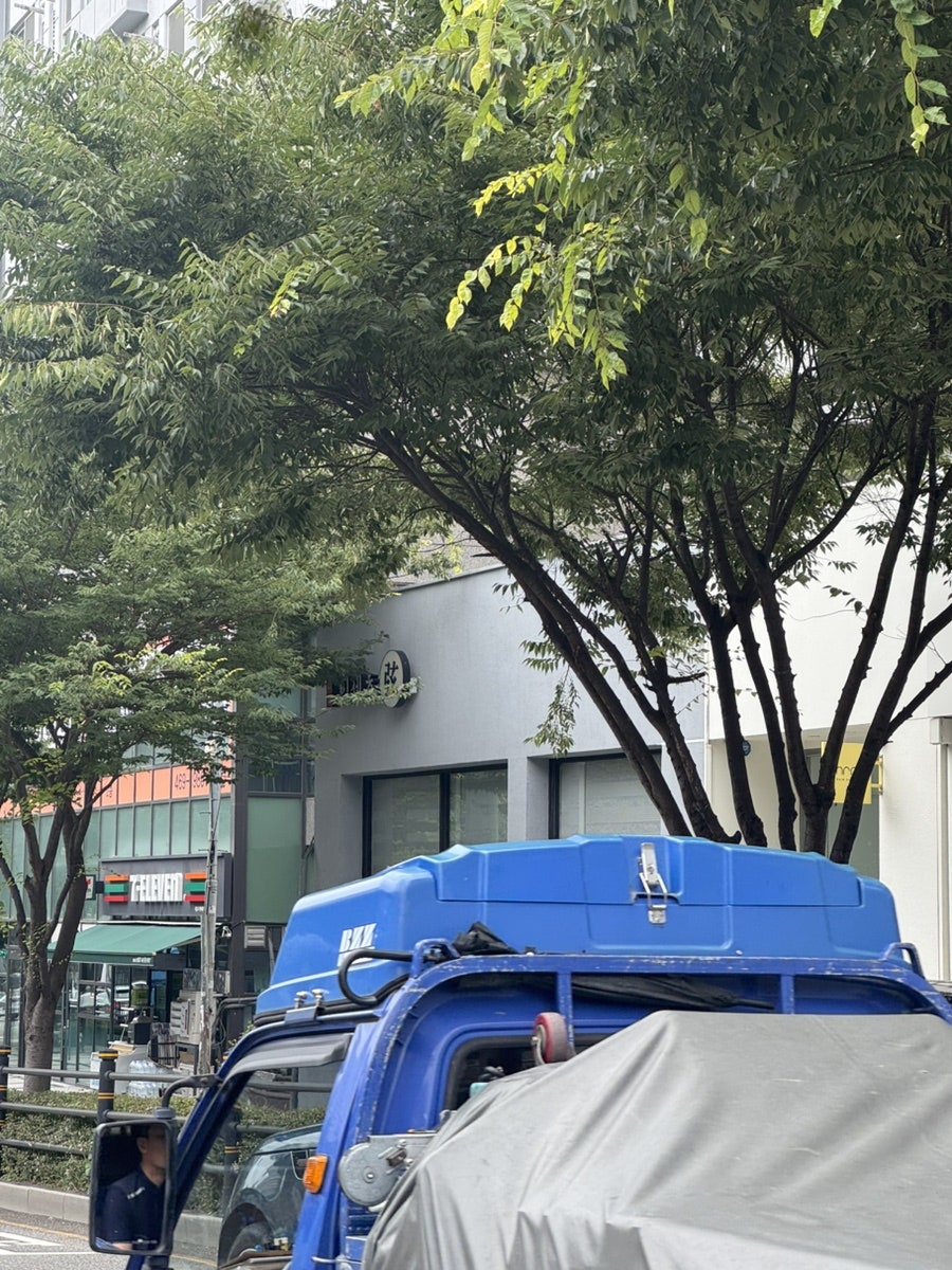 키세츠현 사진 1