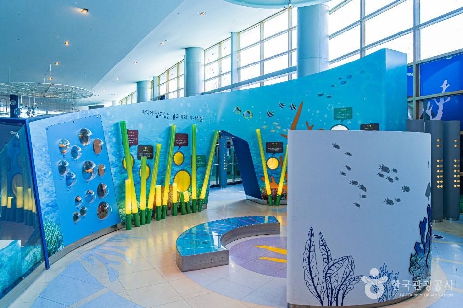 목포어린이바다과학관 사진 2