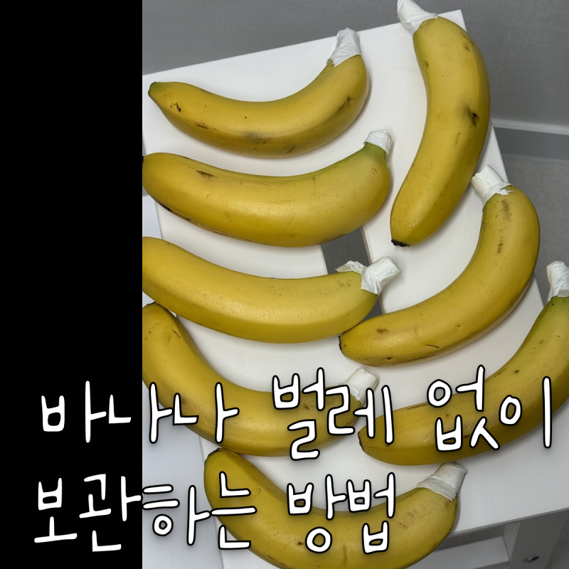 여름철 바나나 보관 방법 날파리 초파리 이렇게 바꾸니 확실히 사라졌어요!