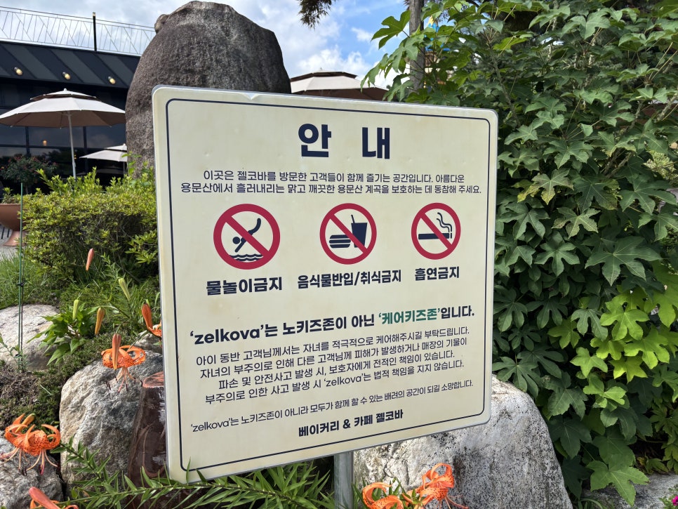 젤코바 사진 4