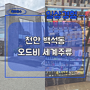 천안 오드비 세계주류 방문 후기