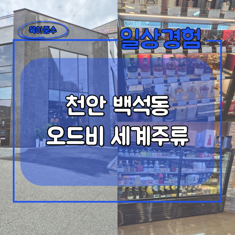 천안 오드비 세계주류 방문 후기