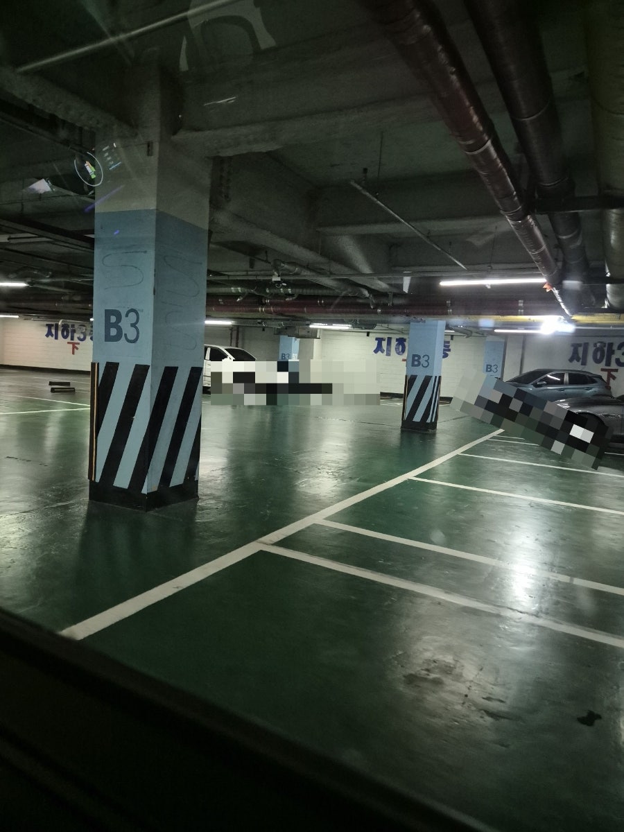 삼대애 사진 1