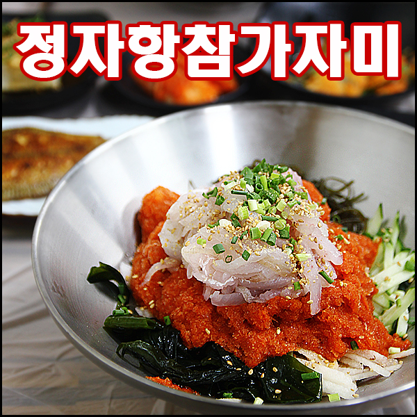 정자항참가자미 사진 1