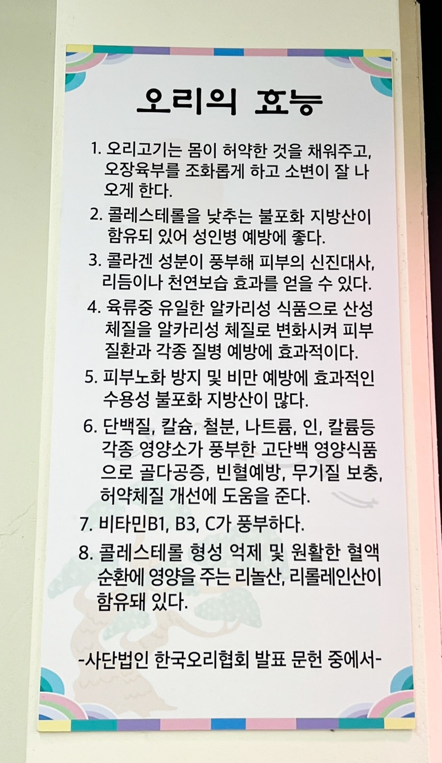 유정원한강오리 사진 4