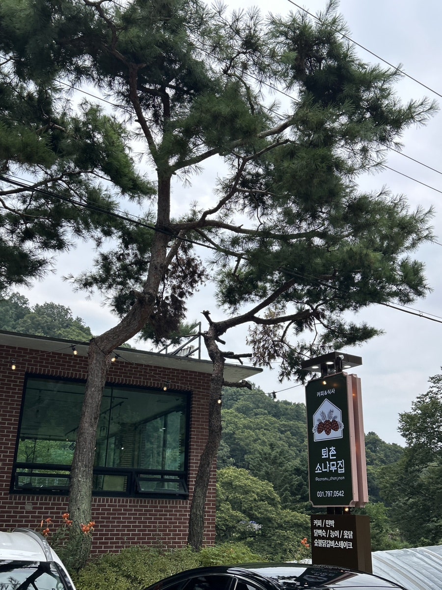 천진암 계곡 사진 3
