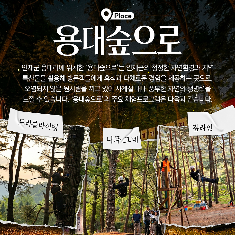 용대숲으로 사진 3